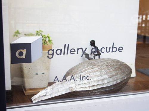 gallery a-cube+